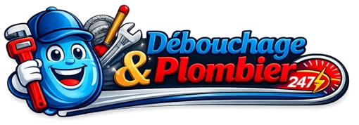 Debouchage Dinant 247 logo plombier urgence - Débouchage canalisation WC éviers intervention rapide 24h/7j Dinant Belgique
